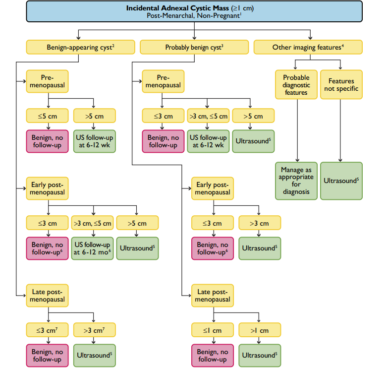 Incidental adnexal cystic mass flowchart