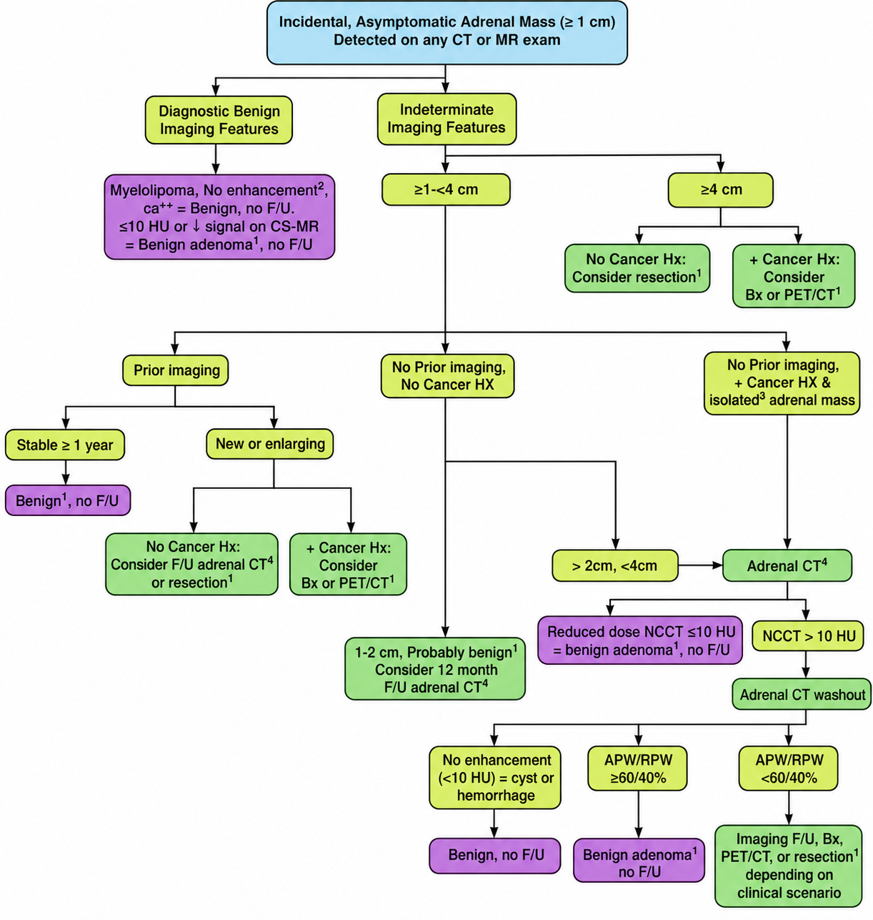ACR incidental adrenal mass imaging algorithm