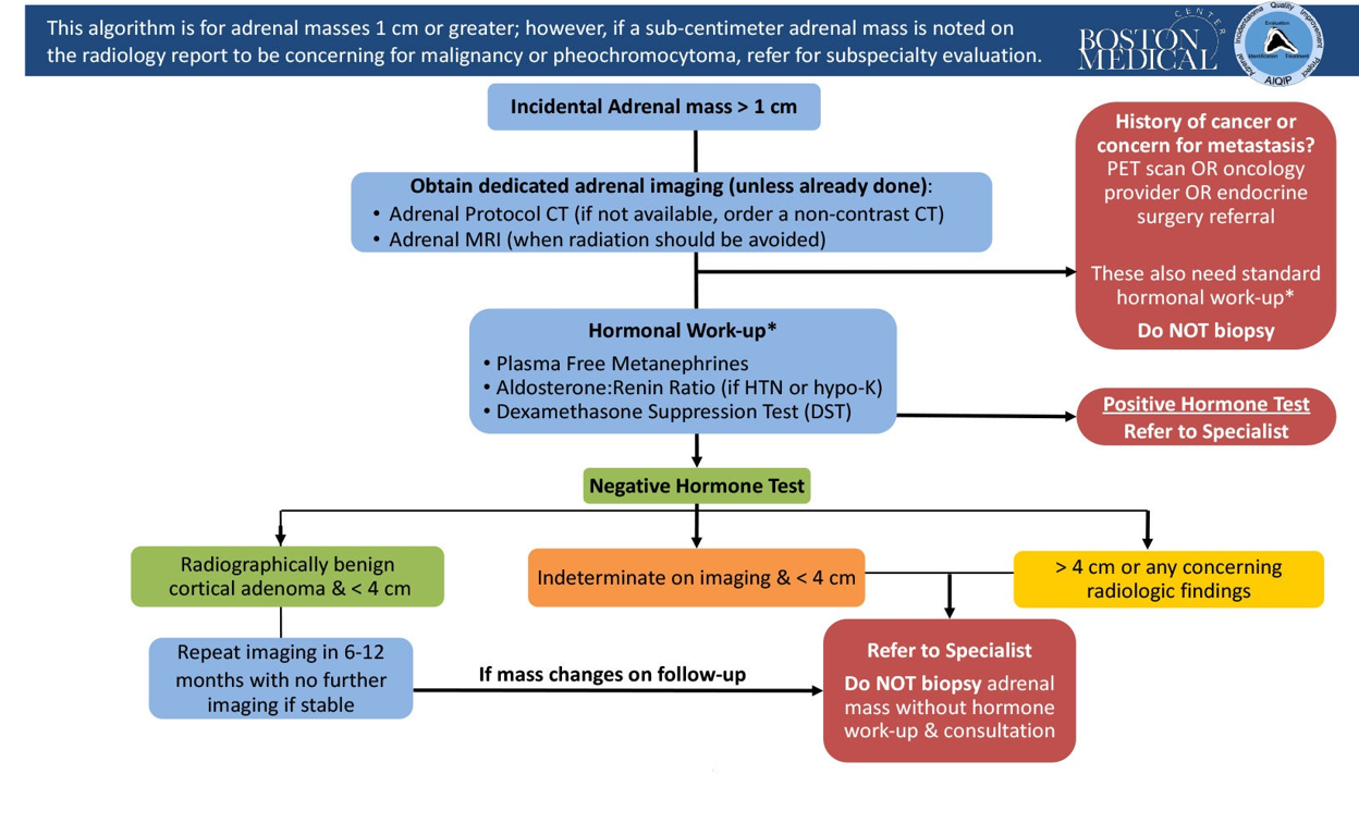 Boston Medical Center incidental adrenal mass algorithm