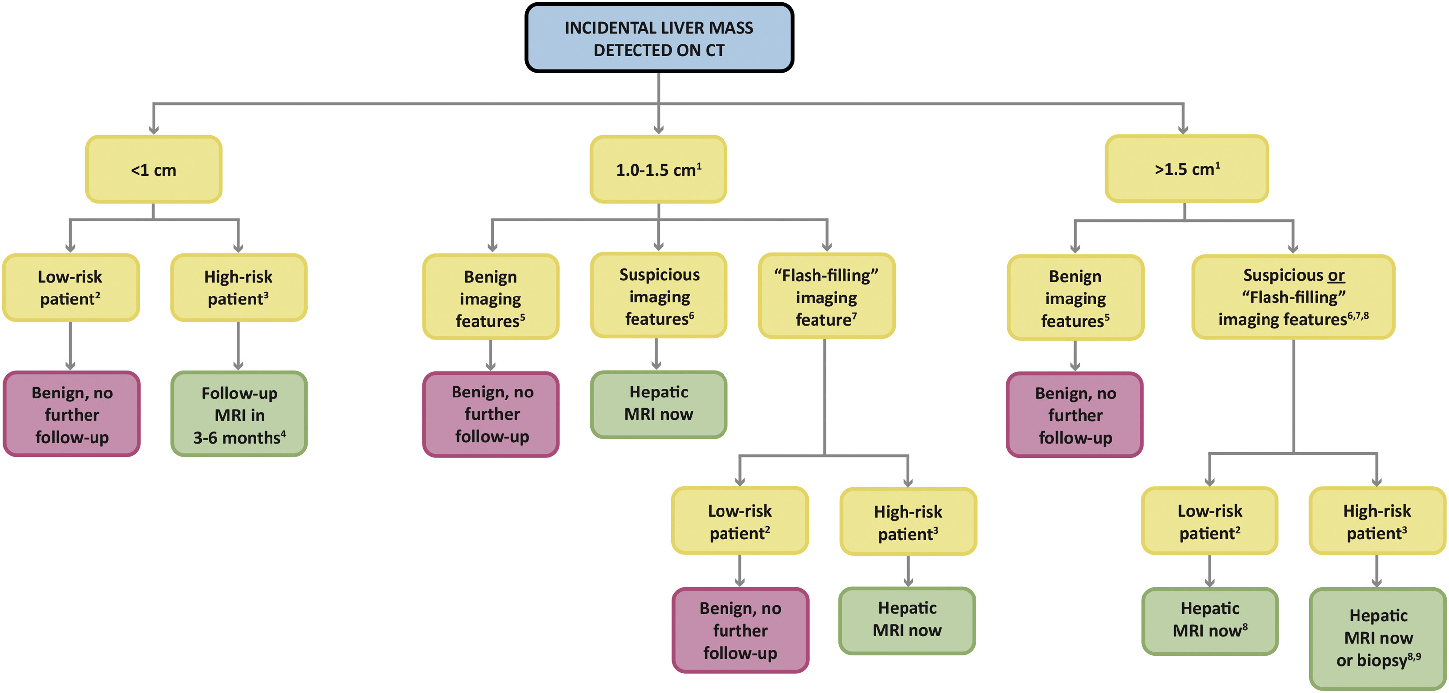 Incidental liver mass detected on CT flowchart