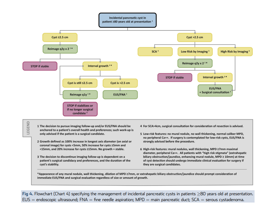 Flowchart for management of incidental pancreatic cysts in patients 80 years or older