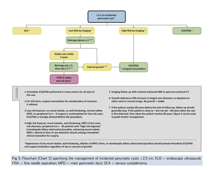 Flowchart for management of incidental pancreatic cysts greater than 2.5 cm