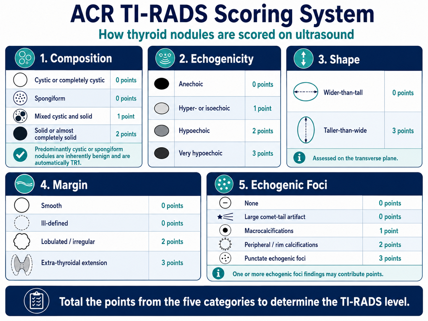 ACR TI-RADS scoring system