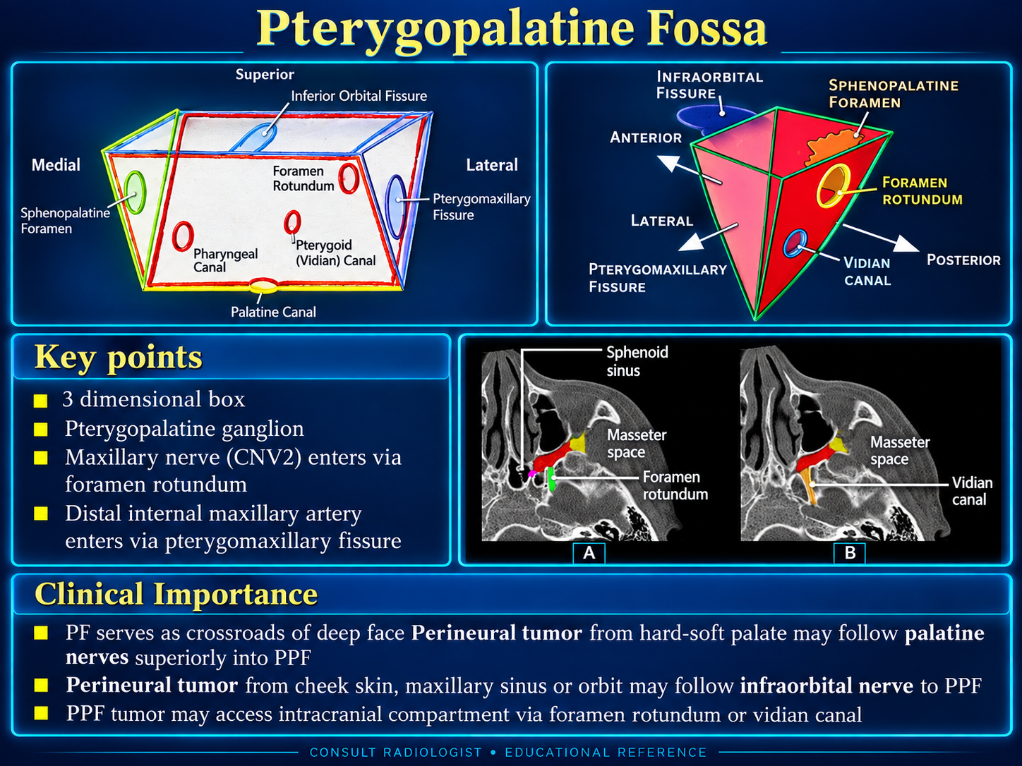Pterygopalatine fossa boundaries, openings, and clinical pathways