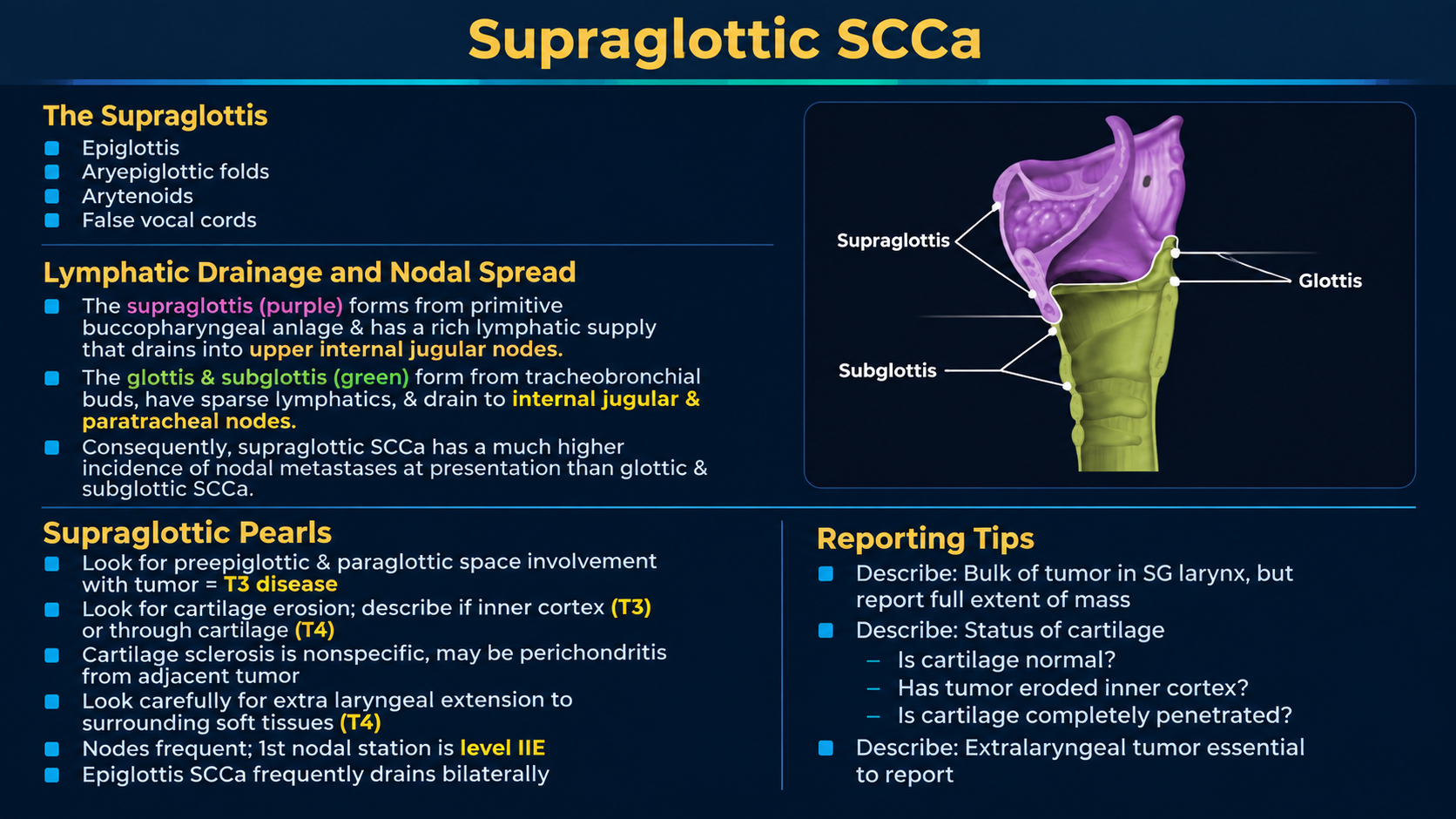 Supraglottic SCC overview and nodal drainage
