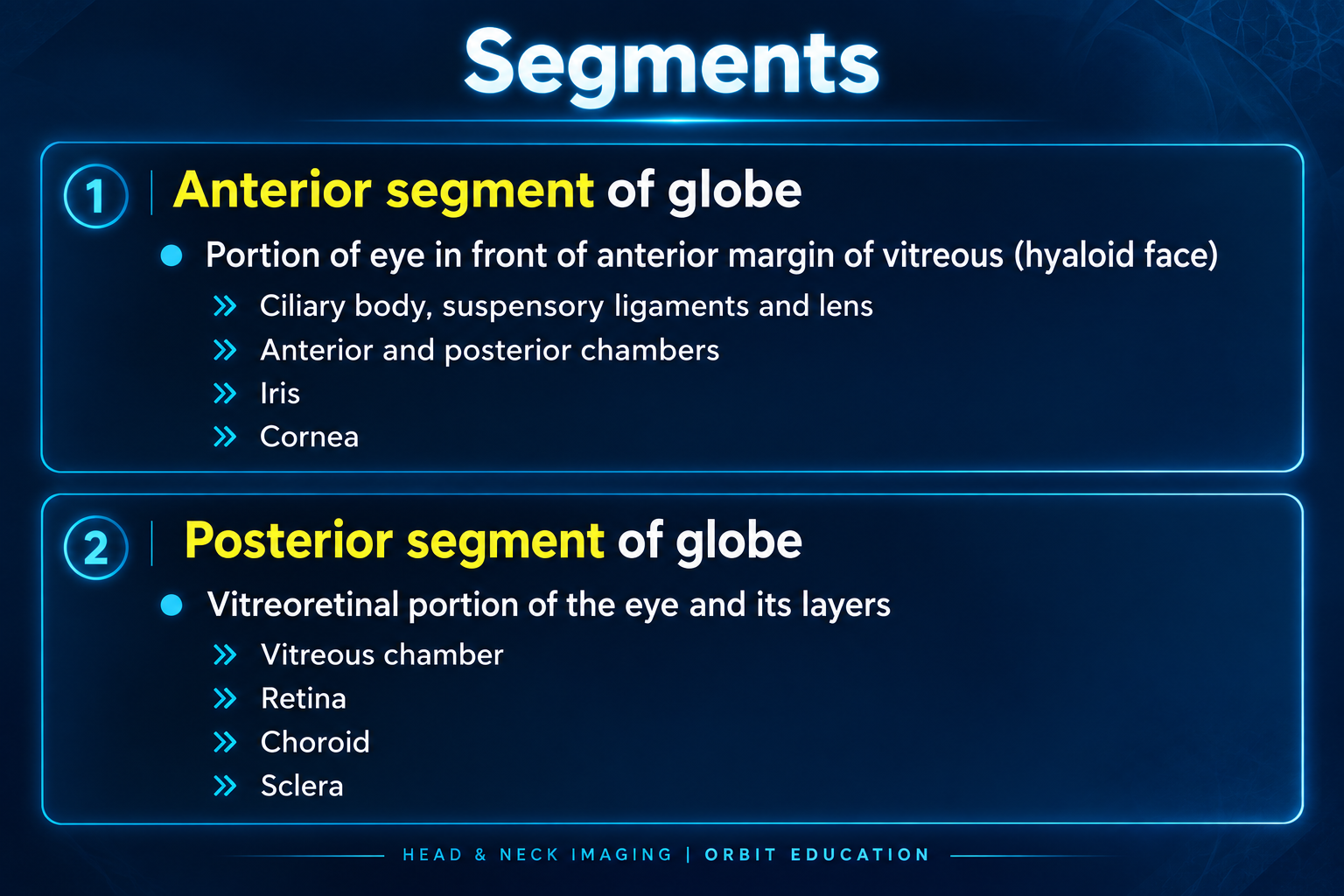 Anterior and posterior segments of the globe