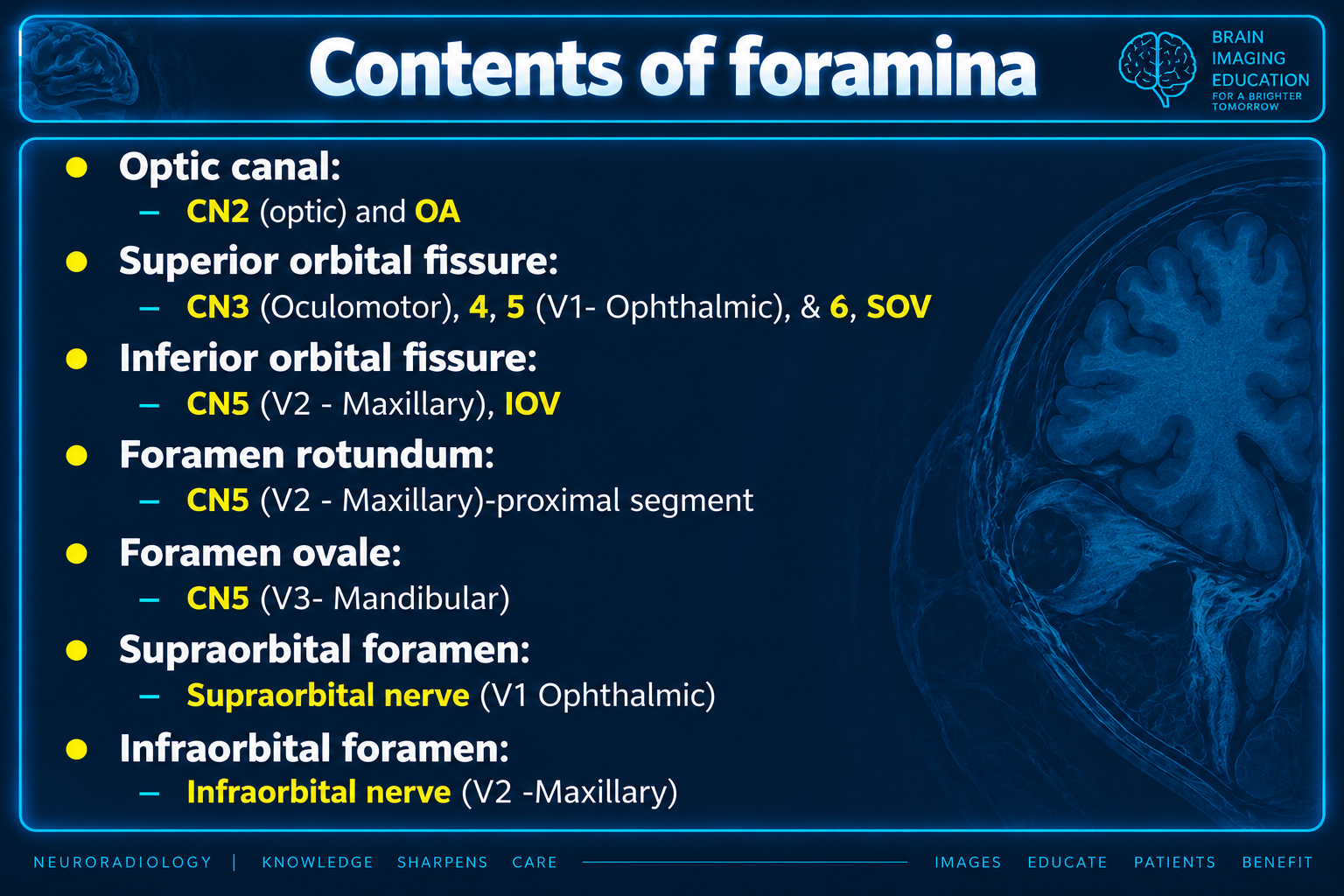 Contents of orbital and facial foramina