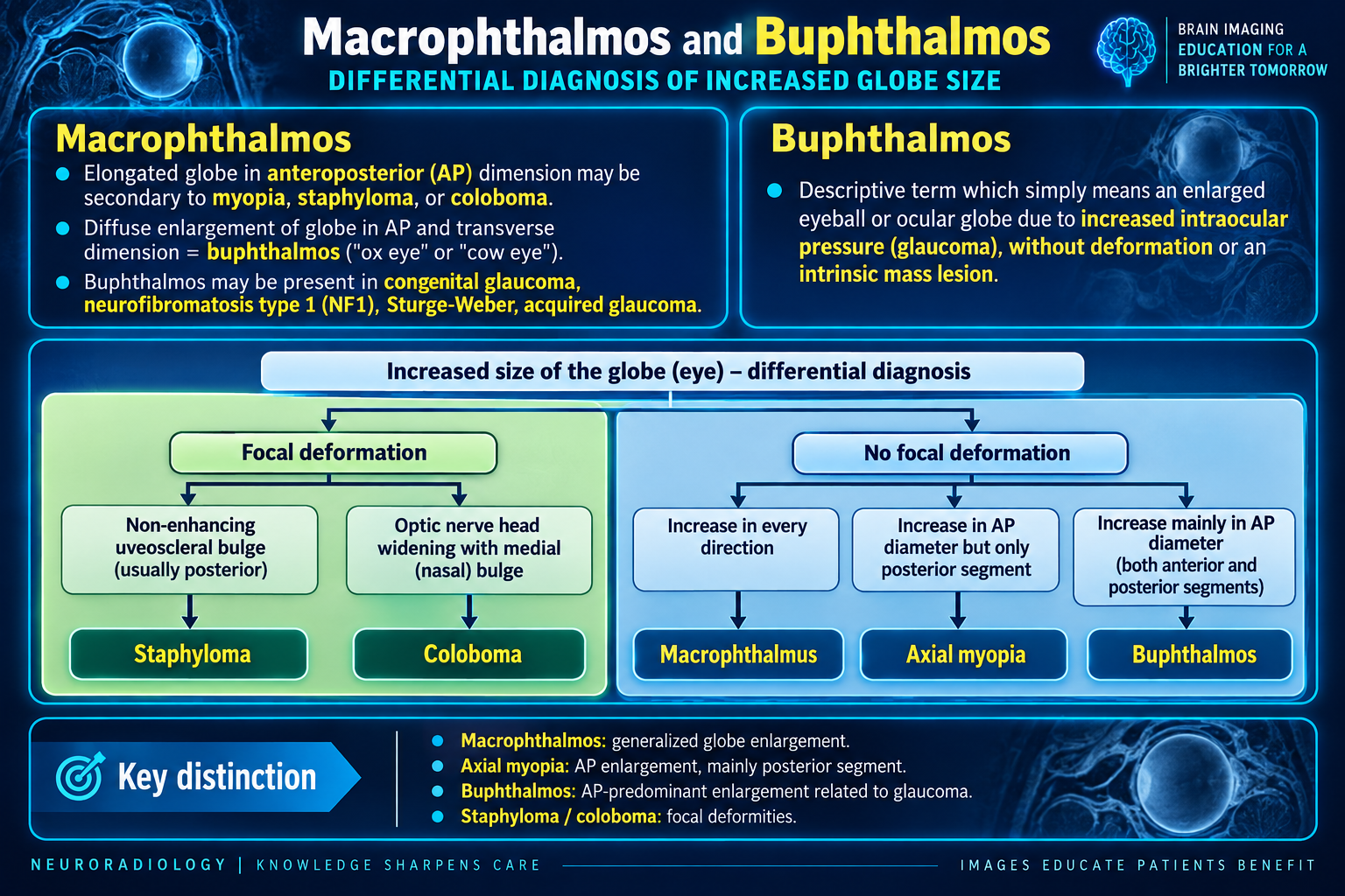 Macrophthalmos